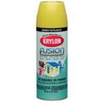 Krylon Fusion for Plastic (Ivy Leaf)