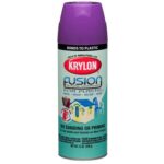 Krylon Fusion for Plastic (Plum)